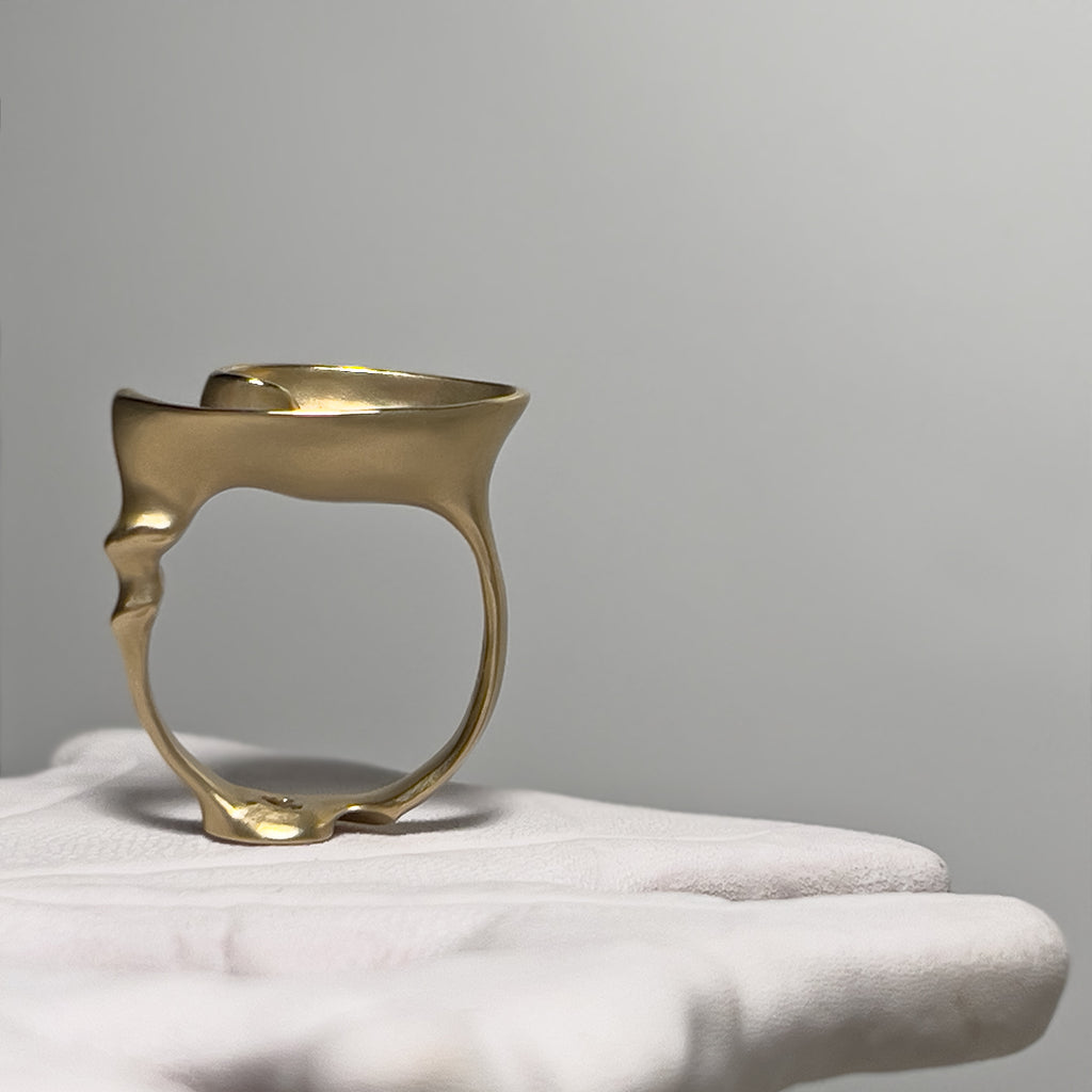 Slide Ring - Gold | Kirsten Muenster Jewelry