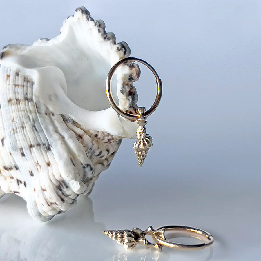 Spiral Charm Hoop Earrings hanging on a spiral conch shell