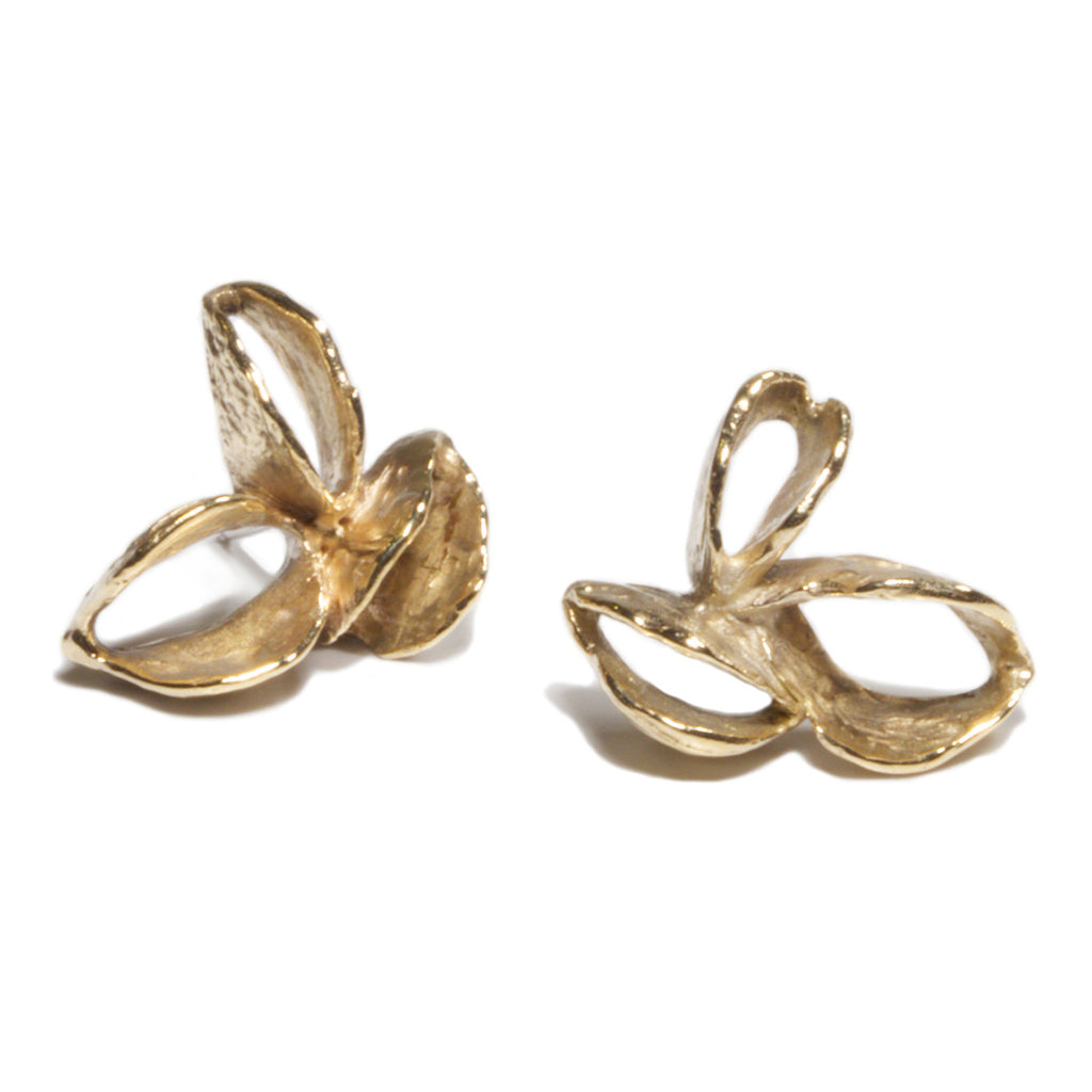 Banksia Pod Earrings - Yellow Bronze | Kirsten Muenster Jewelry