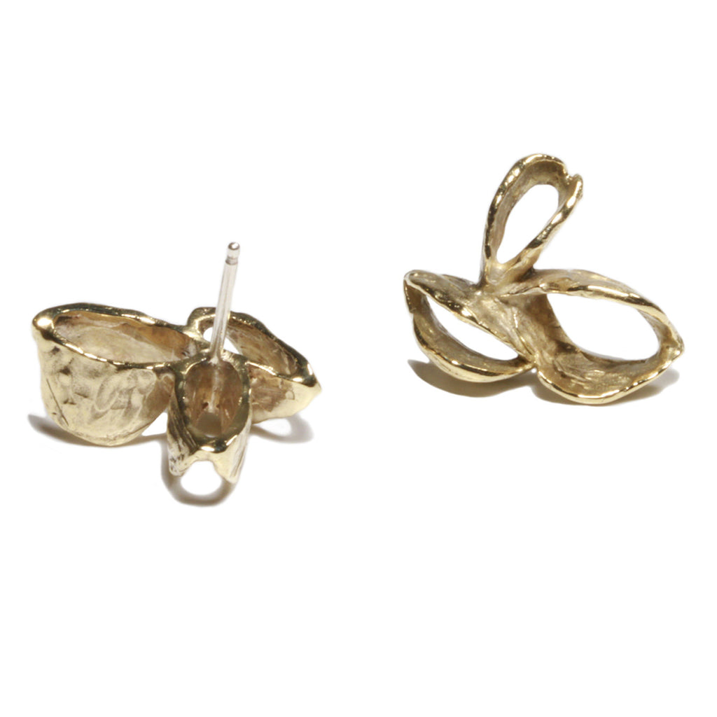 Banksia Pod Earrings - Yellow Bronze | Kirsten Muenster Jewelry