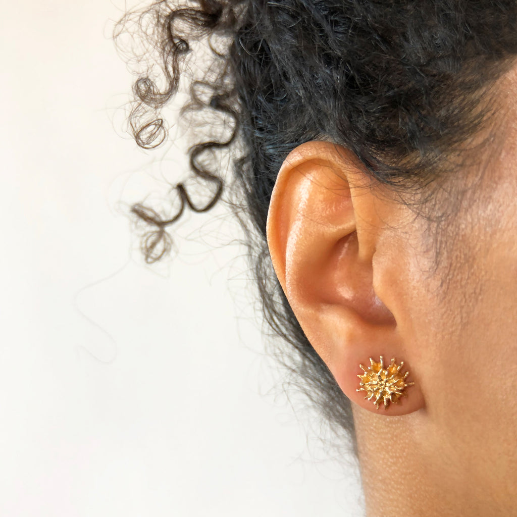 Star Pod Earrings - Yellow Bronze | Kirsten Muenster Jewelry