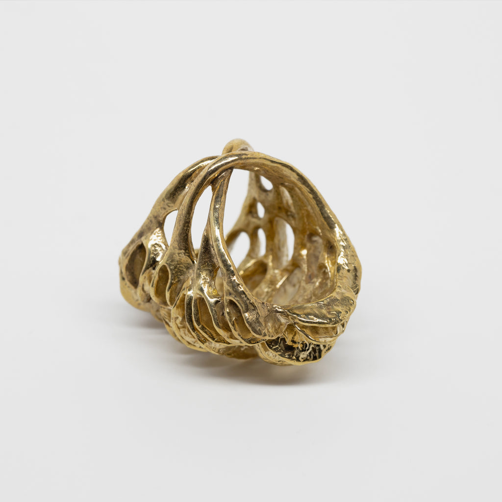 Banksia Root Ring - Yellow Bronze | Kirsten Muenster Jewelry