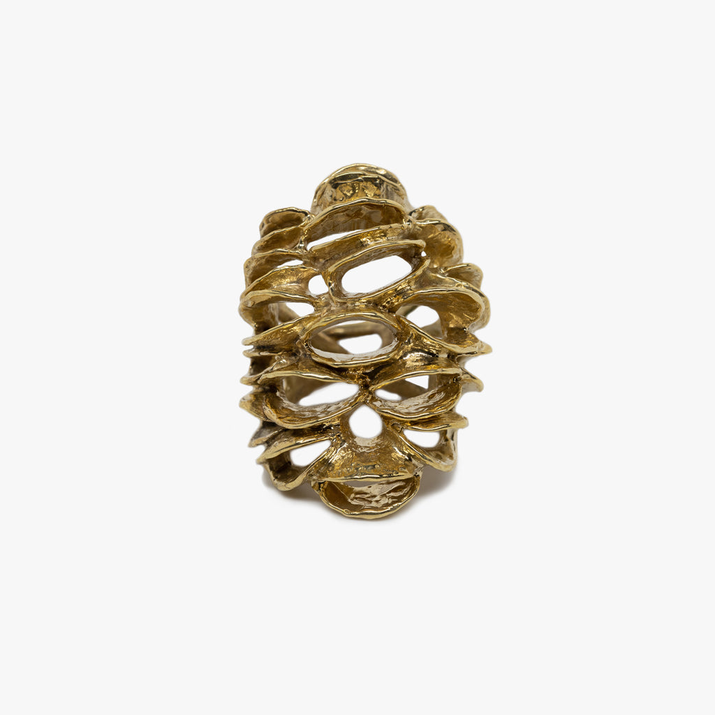 Banksia Root Ring - Yellow Bronze | Kirsten Muenster Jewelry