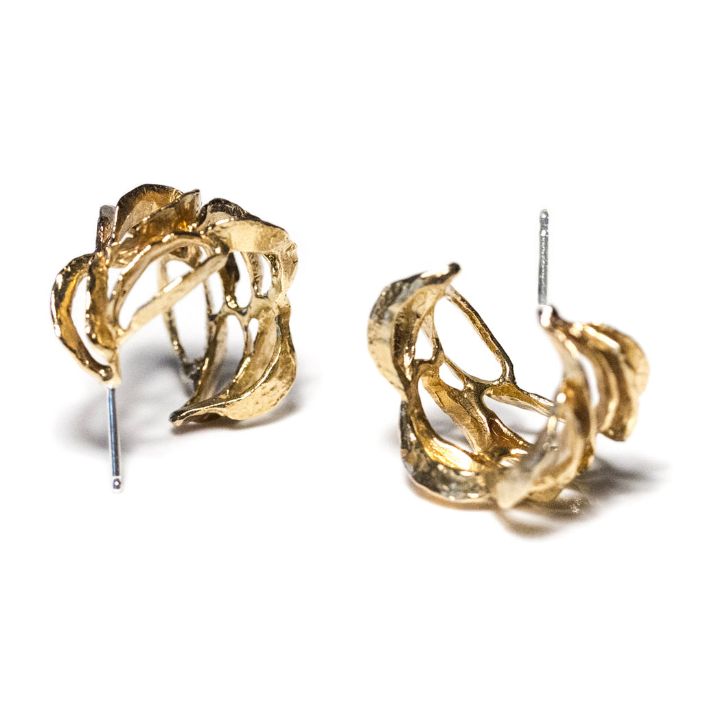 Banksia Hoop Earrings - Yellow Bronze | Kirsten Muenster Jewelry