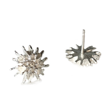 Star Pod Earrings - Silver | Kirsten Muenster Jewelry