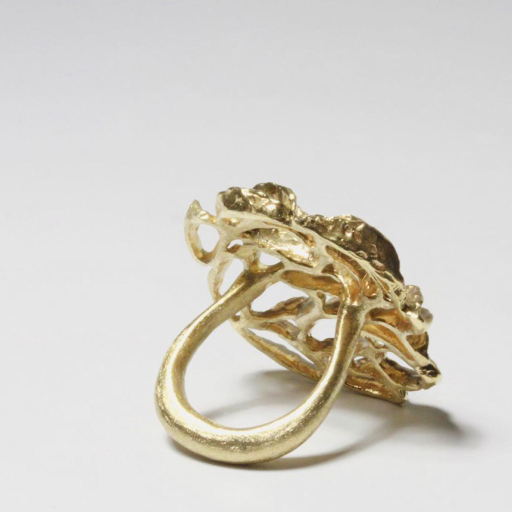 Banksia Medallion Ring - Yellow Bronze | Kirsten Muenster Jewelry
